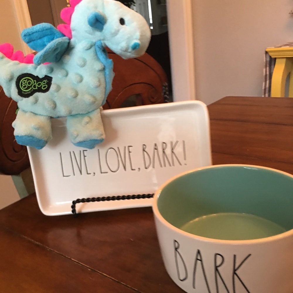 Rae Dunn dog bowl and tray .